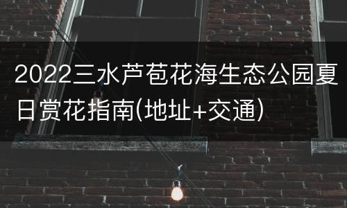 2022三水芦苞花海生态公园夏日赏花指南(地址+交通)