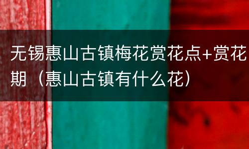 无锡惠山古镇梅花赏花点+赏花期（惠山古镇有什么花）