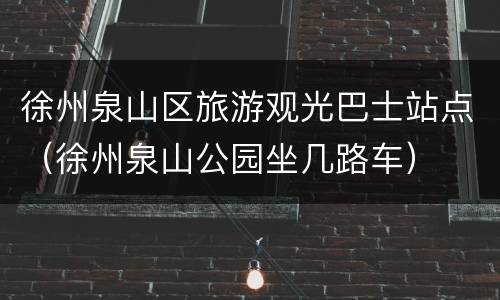 徐州泉山区旅游观光巴士站点（徐州泉山公园坐几路车）
