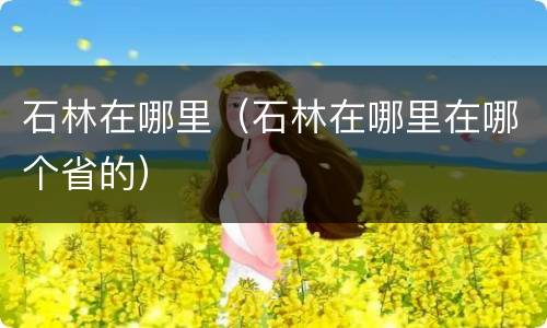 石林在哪里（石林在哪里在哪个省的）