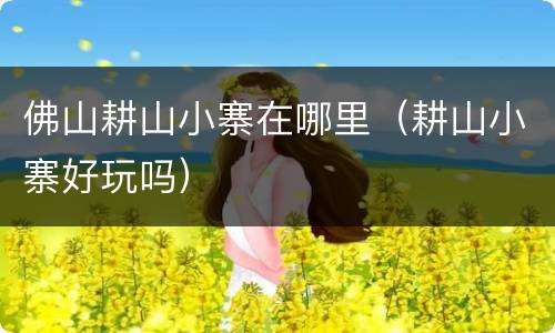 佛山耕山小寨在哪里（耕山小寨好玩吗）