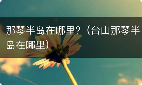 那琴半岛在哪里?（台山那琴半岛在哪里）