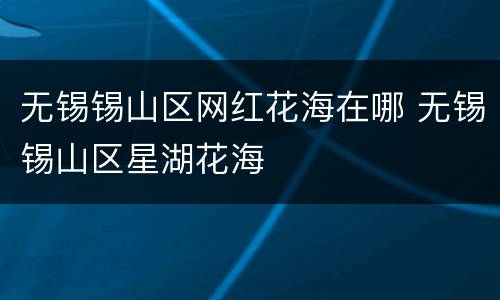 无锡锡山区网红花海在哪 无锡锡山区星湖花海