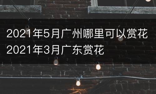2021年5月广州哪里可以赏花 2021年3月广东赏花