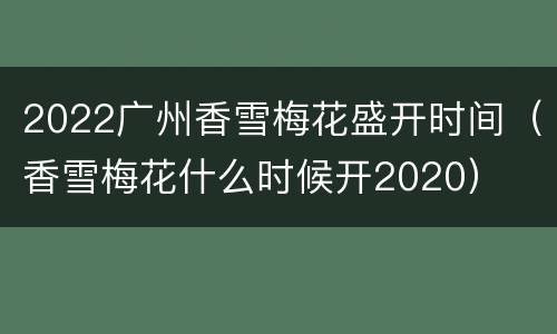 2022广州香雪梅花盛开时间（香雪梅花什么时候开2020）