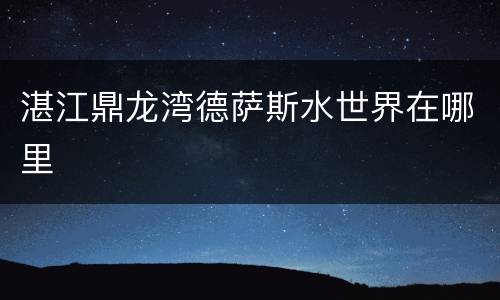 湛江鼎龙湾德萨斯水世界在哪里
