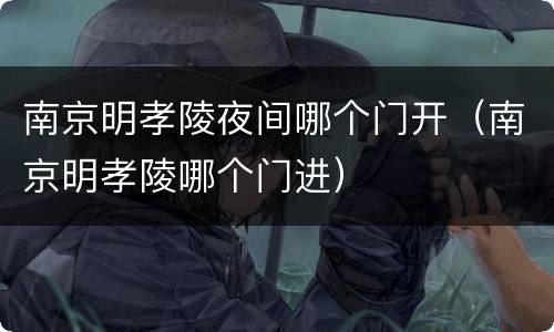 南京明孝陵夜间哪个门开（南京明孝陵哪个门进）
