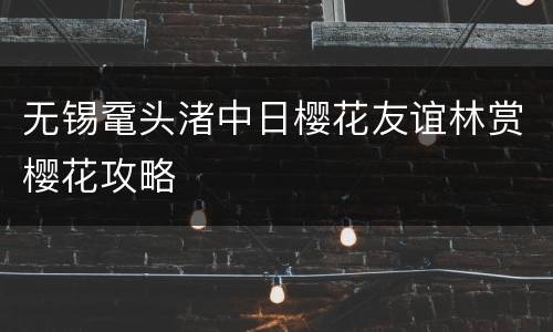 无锡鼋头渚中日樱花友谊林赏樱花攻略