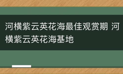 河横紫云英花海最佳观赏期 河横紫云英花海基地