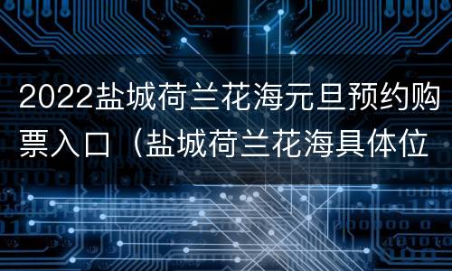2022盐城荷兰花海元旦预约购票入口（盐城荷兰花海具体位置）