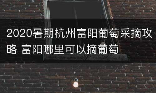2020暑期杭州富阳葡萄采摘攻略 富阳哪里可以摘葡萄
