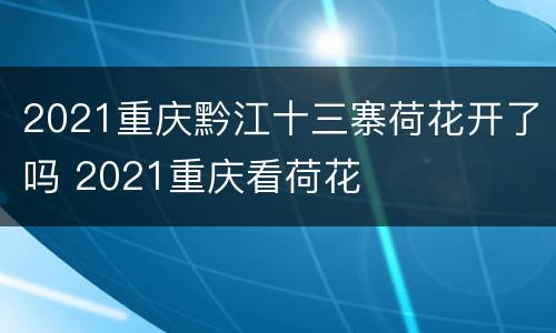 2021重庆黔江十三寨荷花开了吗 2021重庆看荷花