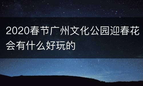 2020春节广州文化公园迎春花会有什么好玩的