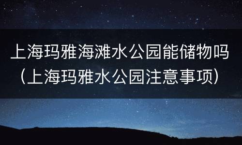 上海玛雅海滩水公园能储物吗（上海玛雅水公园注意事项）