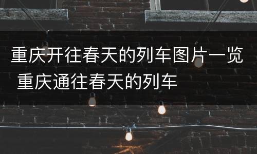 重庆开往春天的列车图片一览 重庆通往春天的列车