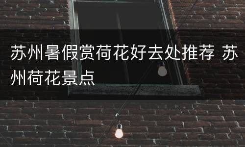 苏州暑假赏荷花好去处推荐 苏州荷花景点