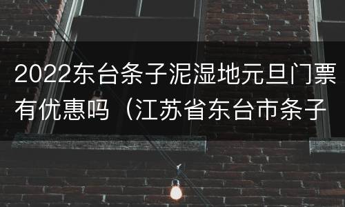 2022东台条子泥湿地元旦门票有优惠吗（江苏省东台市条子泥滨海滩涂湿地）