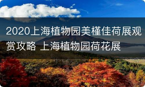 2020上海植物园美槿佳荷展观赏攻略 上海植物园荷花展