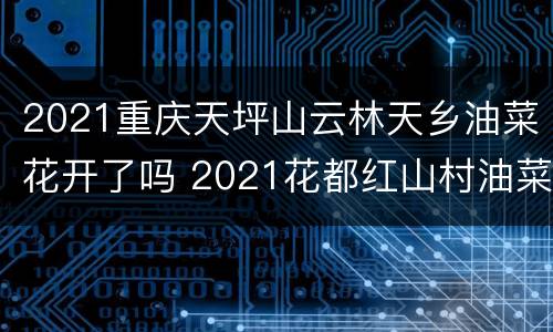 2021重庆天坪山云林天乡油菜花开了吗 2021花都红山村油菜花开了吗