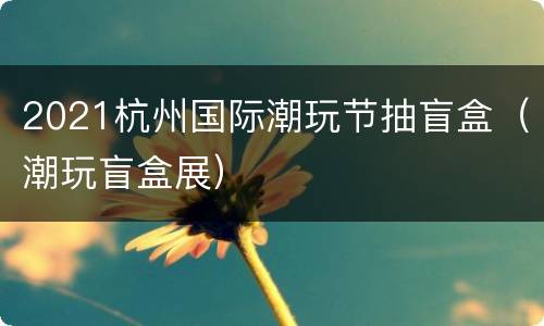 2021杭州国际潮玩节抽盲盒（潮玩盲盒展）