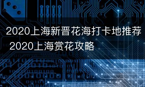 2020上海新晋花海打卡地推荐 2020上海赏花攻略