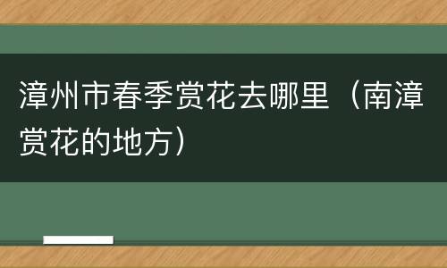 漳州市春季赏花去哪里（南漳赏花的地方）