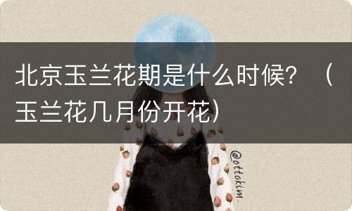 北京玉兰花期是什么时候？（玉兰花几月份开花）