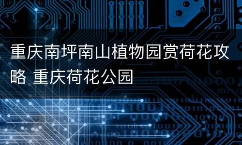 重庆南坪南山植物园赏荷花攻略 重庆荷花公园