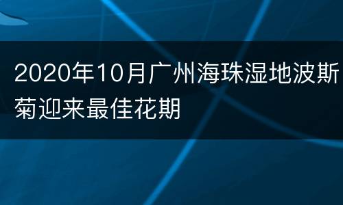 2020年10月广州海珠湿地波斯菊迎来最佳花期