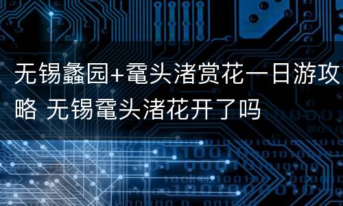 无锡蠡园+鼋头渚赏花一日游攻略 无锡鼋头渚花开了吗