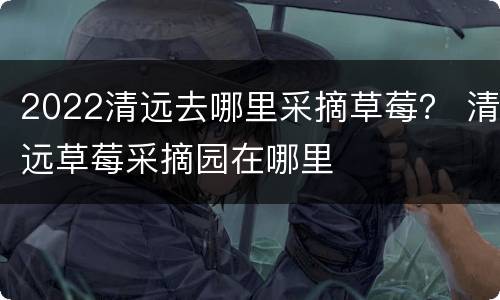 2022清远去哪里采摘草莓？ 清远草莓采摘园在哪里