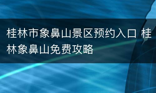 桂林市象鼻山景区预约入口 桂林象鼻山免费攻略