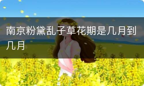 南京粉黛乱子草花期是几月到几月