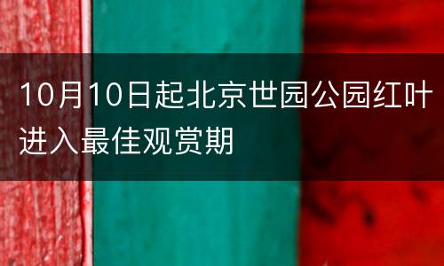 10月10日起北京世园公园红叶进入最佳观赏期