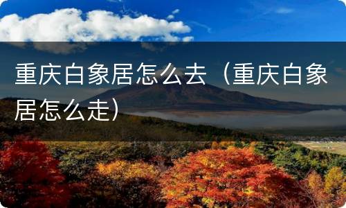重庆白象居怎么去（重庆白象居怎么走）