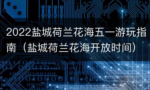 2022盐城荷兰花海五一游玩指南（盐城荷兰花海开放时间）
