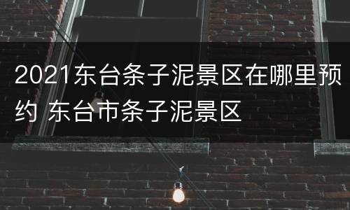 2021东台条子泥景区在哪里预约 东台市条子泥景区