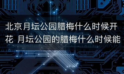 北京月坛公园腊梅什么时候开花 月坛公园的腊梅什么时候能开