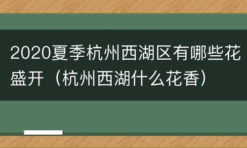2020夏季杭州西湖区有哪些花盛开（杭州西湖什么花香）