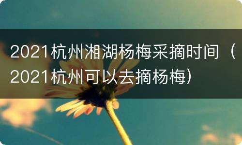 2021杭州湘湖杨梅采摘时间（2021杭州可以去摘杨梅）
