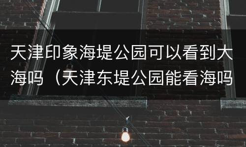 天津印象海堤公园可以看到大海吗（天津东堤公园能看海吗）