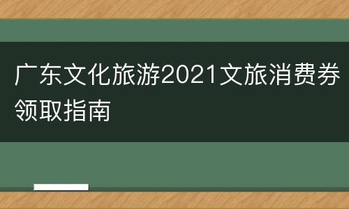 广东文化旅游2021文旅消费券领取指南