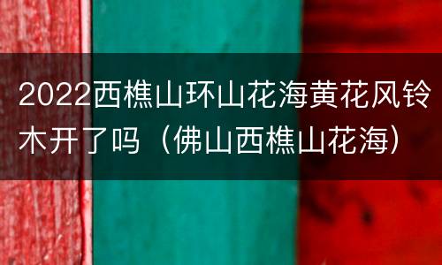 2022西樵山环山花海黄花风铃木开了吗（佛山西樵山花海）