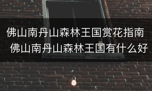 佛山南丹山森林王国赏花指南 佛山南丹山森林王国有什么好玩的