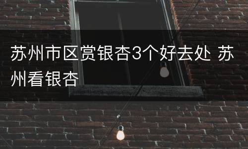 苏州市区赏银杏3个好去处 苏州看银杏