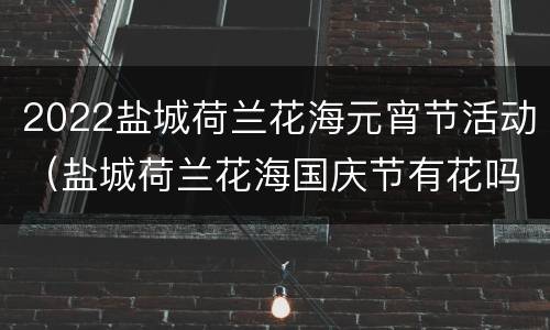 2022盐城荷兰花海元宵节活动（盐城荷兰花海国庆节有花吗）