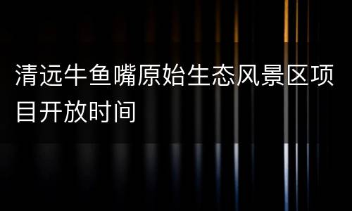 清远牛鱼嘴原始生态风景区项目开放时间