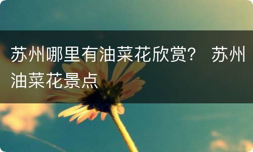 苏州哪里有油菜花欣赏？ 苏州油菜花景点