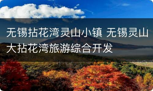 无锡拈花湾灵山小镇 无锡灵山大拈花湾旅游综合开发