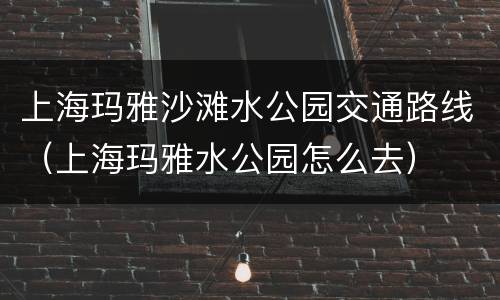 上海玛雅沙滩水公园交通路线（上海玛雅水公园怎么去）